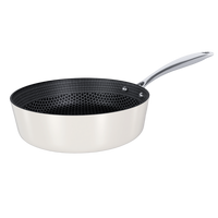 Roestvrijstalen hapjespan 24 cm met honingraat antiaanbaklaag en lang handvat.