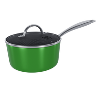 Groene RVS steelpan 18 cm met hittebestendig handvat en glazen deksel met stoomopeningen.